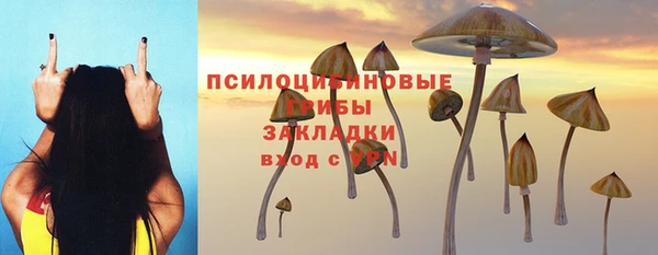 скорость Богородицк
