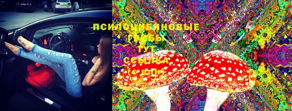 мдма Богданович